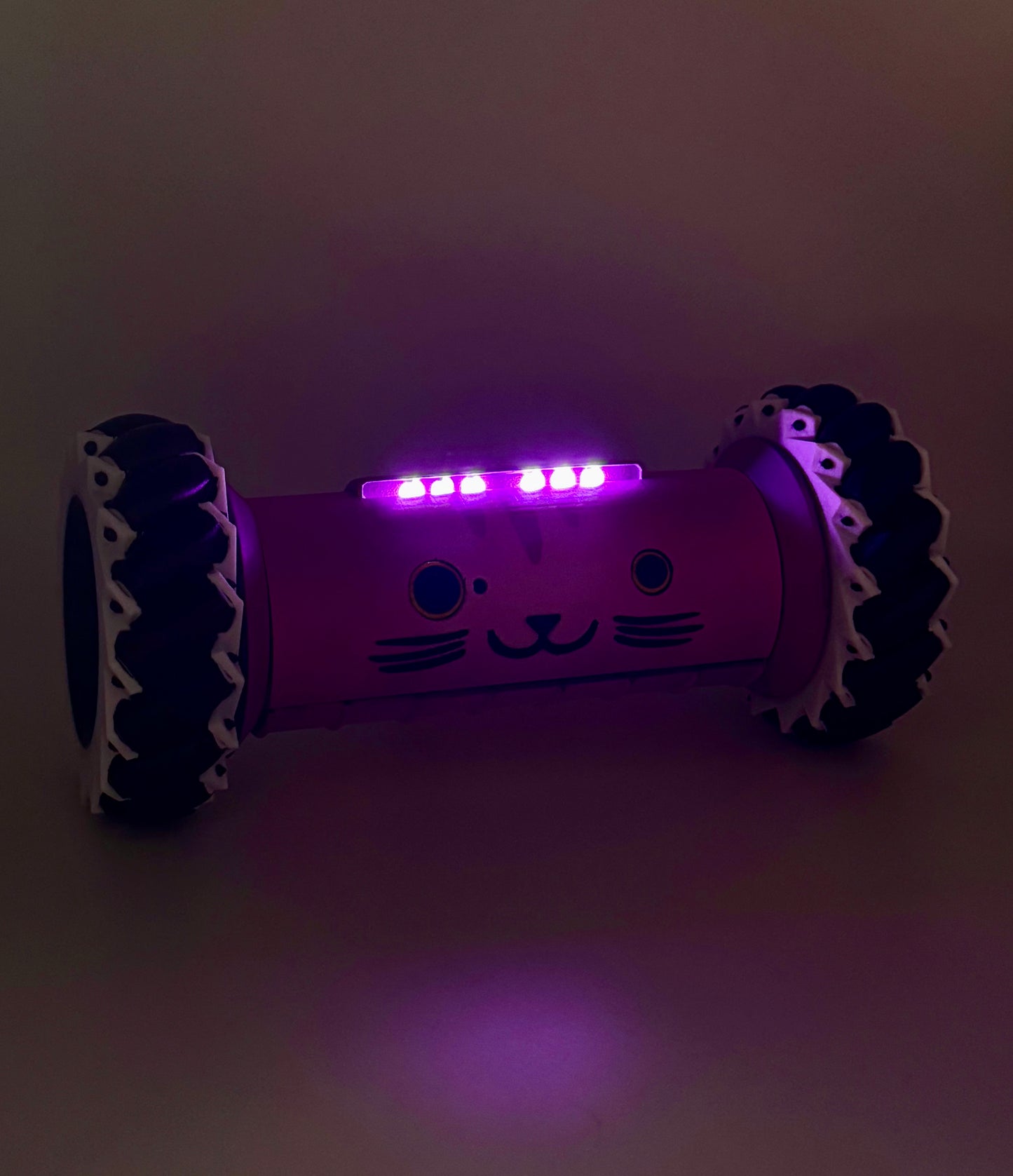 “Lord Fluffers” REMOTE CONTROL Recon Drone